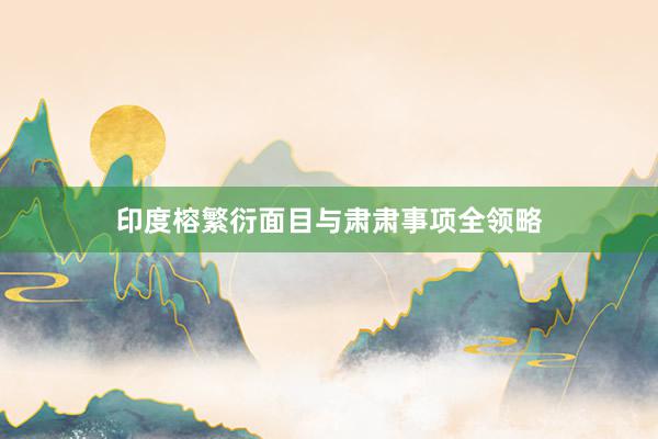 印度榕繁衍面目与肃肃事项全领略